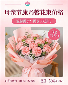 绵阳江油市花店母亲节康乃馨花束