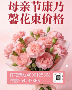 绵阳江油市花店母亲节康乃馨花束